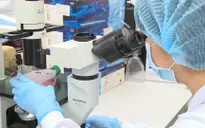 Hà Nội: Miễn phí xét nghiệm COVID-19 và hỗ trợ 100.000 đồng/người/ngày cho người cách ly
