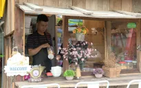 Mang Đà Lạt xuống TP.HCM