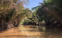 Đồng bằng sông Cửu Long tháng 3 tiếp tục mặn gay gắt