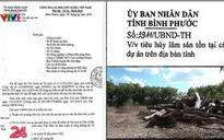 Bình Phước: Khai thác rồi tiêu hủy 8.000m3 gỗ nhưng chỉ… rút kinh nghiệm