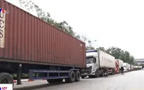Giải pháp đột phá góp phần thúc đẩy nông sản xuất khẩu sang Trung Quốc