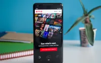 Netflix cập nhật danh sách phim và chương trình hot trên mọi nền tảng