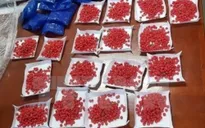 Đối tượng 17 tuổi tham gia vận chuyển gần 7.000 viên ma túy tổng hợp từ Lào về Việt Nam