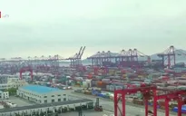 Ngành vận tải đường biển trước sức ép dịch COVID-19