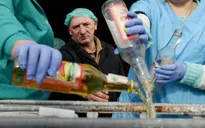 Ukraine tiêu hủy hàng chục nghìn chai vodka giả