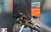 Nguy cơ cháy nổ tại cơ sở sang chiết gas lậu núp bóng xưởng sửa chữa ô tô