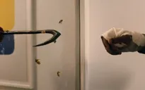 Siêu phẩm kinh dị "Candyman" của Jordan Peele chính thức tung trailer mới vô cùng ám ảnh
