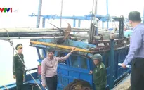 Công tác truy xuất nguồn gốc thủy sản từ khai thác đã dần đi vào nề nếp
