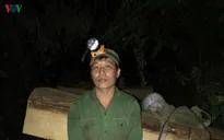 Mật phục bắt nhóm lâm tặc chuyên dùng xe máy độ chế vận chuyển gỗ lậu