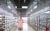 Không sử dụng ngân sách Nhà nước để xử lý thua lỗ của doanh nghiệp