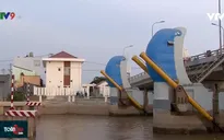 Tiết kiệm hàng nghìn tỷ đồng với mô hình cầu - cống kết hợp ở ĐBSCL