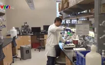 Mỹ thúc đẩy nghiên cứu vaccine phòng chủng virus Corona mới