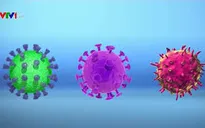 Phát hiện mã độc ẩn giấu dưới các thông tin về virus Corona mới