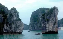Sở Du lịch Quảng Ninh bác thông tin du thuyền chở người nhiễm Corona có mặt ở Hạ Long