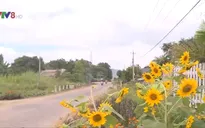 Đảng viên giúp đỡ hộ nghèo