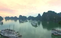 Việt Nam lọt top 20 quốc gia phát triển du lịch nhanh nhất thế giới 2019