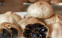 Tăng sức đề kháng phòng chống dịch nCoV