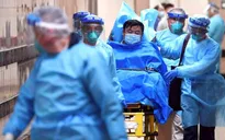 Bill Gates tài trợ 100 triệu USD để đối phó virus Corona