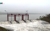 92% diện tích gieo cấy vụ Đông Xuân đã có nước