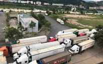 Hàng nghìn xe nông sản quay đầu từ cửa khẩu vào tiêu thụ nội địa