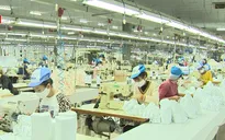 Chủ động nguồn nguyên liệu sản xuất khẩu trang kháng khuẩn 100% từ Việt Nam