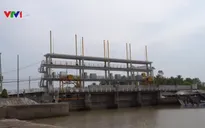 Từ ngày 11-15/2, xuất hiện xâm nhập mặn cao nhất trên sông Cửu Long