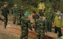 Phát hiện, thu giữ nhiều khối gỗ bị khai thác trái phép