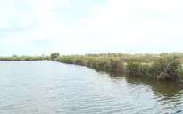 Nghịch lý 2 cấp toà xét xử tranh chấp quyền sử dụng đất