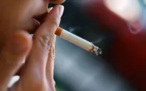 Tác hại của hút thuốc lá tới sức khỏe sinh sản