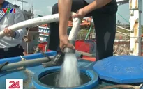 Nhiều giải pháp ứng phó với hạn mặn tại vùng ĐBSCL