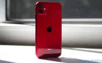 iPhone 11 sống sót sau gần 2 tháng chìm sâu dưới đáy hồ