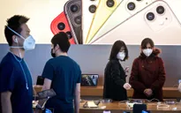 Apple cho nhân viên trên toàn cầu làm việc ở nhà