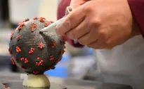 Độc đáo chocolate hình virus Corona