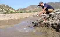 Nguy cơ xảy ra khô hạn, xâm nhập mặn ở Trung Bộ