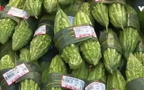 Đà Nẵng đảm bảo cung ứng đủ hàng hóa cho người dân
