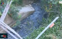 Ô nhiễm sông Cái Nha Trang, đe dọa chất lượng nguồn nước sinh hoạt