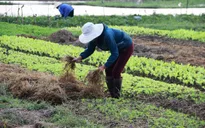Giảm 1% - 1,5% hộ nghèo trong năm 2020