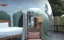 Thú vị phòng ngủ trong suốt để ngắm voi