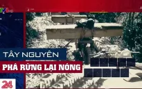 Tây Nguyên đang nóng lên vì tình trạng phá rừng