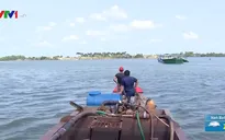 Xâm nhập mặn đạt đỉnh, người dân ĐBSCL chủ động tích trữ nước ngọt
