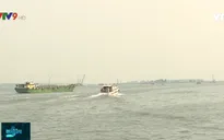 Đồng Tháp ngừng tiếp nhận tàu du lịch có khách nước ngoài tham quan