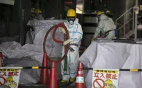 Nhật Bản: TEPCO phải tăng mức bồi thường cho nạn nhân
