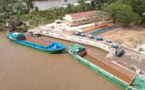 [Chùm ảnh] Tiền Giang điều sà lan chở nước cứu sầu riêng "đang chết khát"