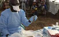 144 người tử vong do dịch sốt xuất huyết Lassa tại Nigeria