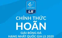 Hoãn tổ chức giải bóng đá Hạng nhất Quốc gia LS 2020