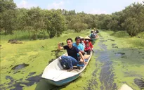 An Giang tạm dừng đón khách quốc tế