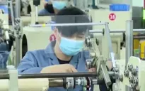 Làn sóng giảm mạnh lương tại các doanh nghiệp Trung Quốc