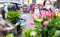 Ngày đầu thực hiện đeo khẩu trang nơi công cộng