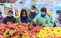 Kiều bào hiến kế nhiều giải pháp phát triển nền kinh tế