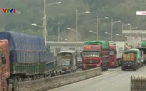 Hoạt động xuất nhập khẩu qua cửa khẩu Lào Cai nhộn nhịp trở lại